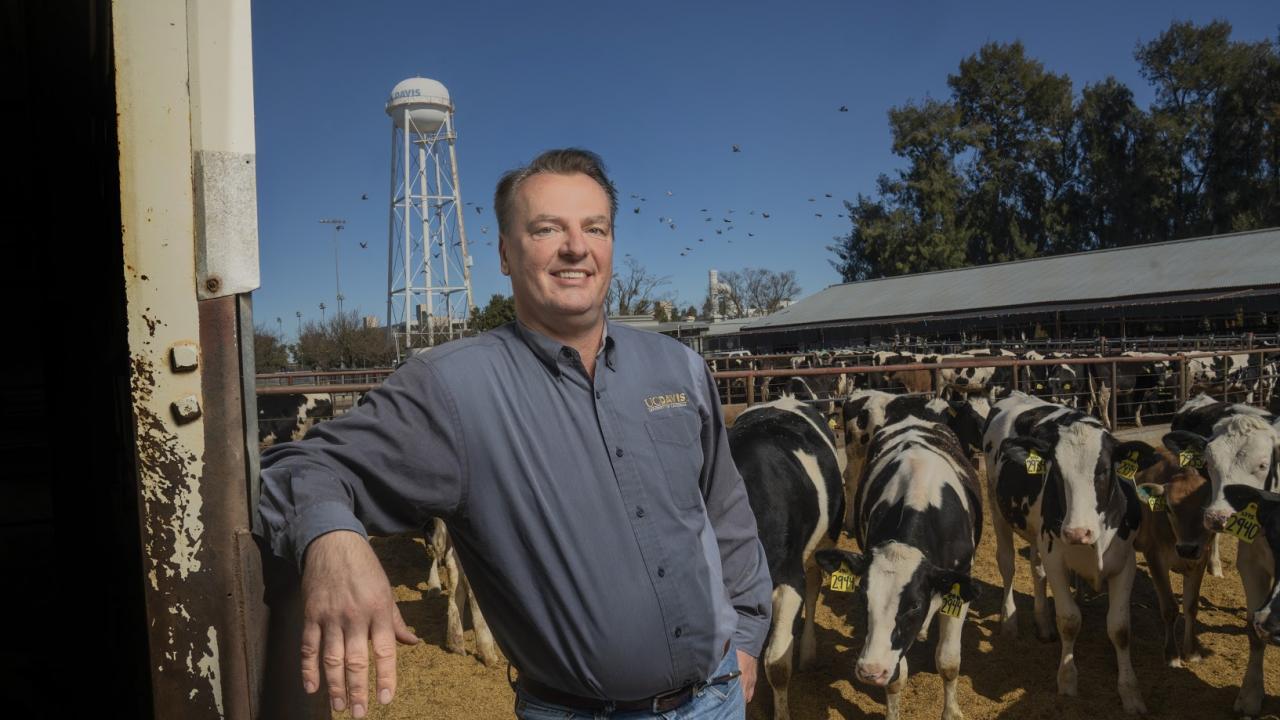 Image: Dr. Frank Mitloehner stands in front of a herd of cattle at UC Davis.